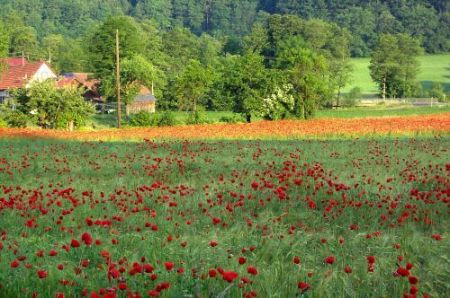 Wandern am Obermain